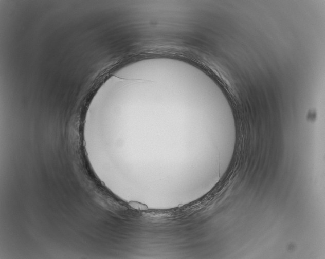 X0000116650407201001251201