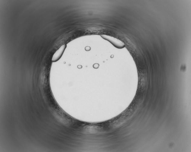 X0000116650408201001251201