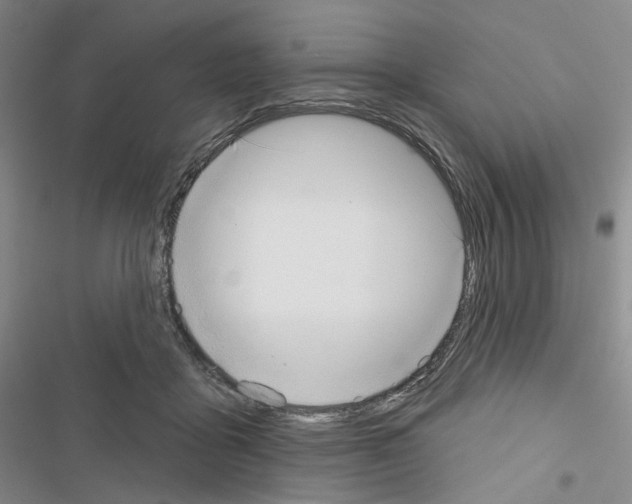 X0000116650411201001251201