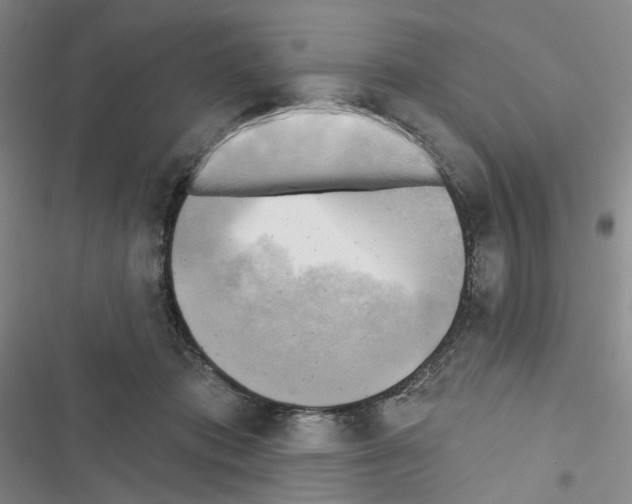 X0000116650413201001251201