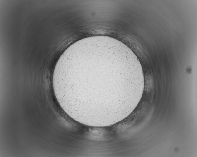 X0000116650414201001251201