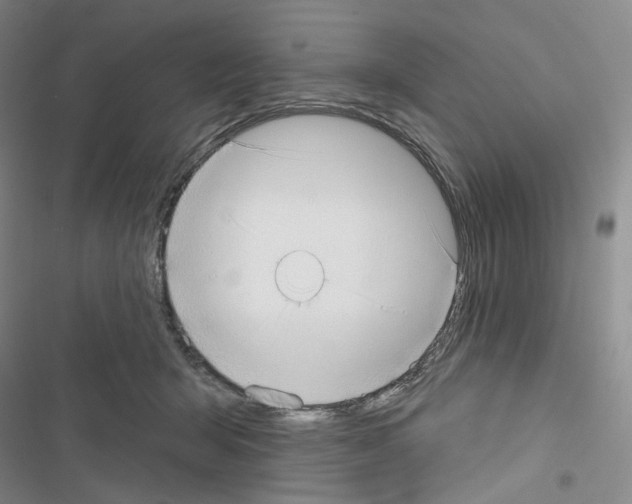 X0000116650415201001251201