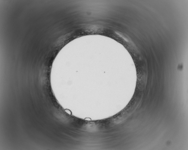 X0000116650416201001251201