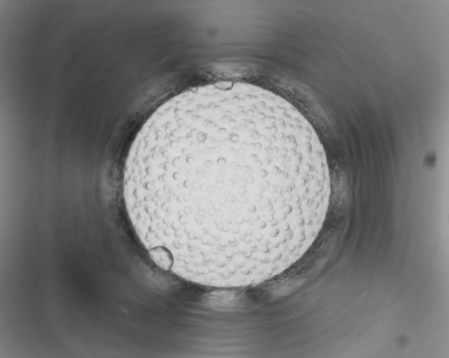 X0000116650418201001251201