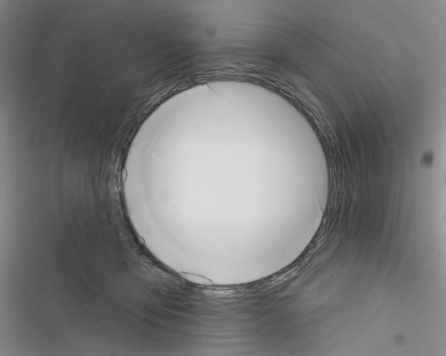 X0000116650419201001251201
