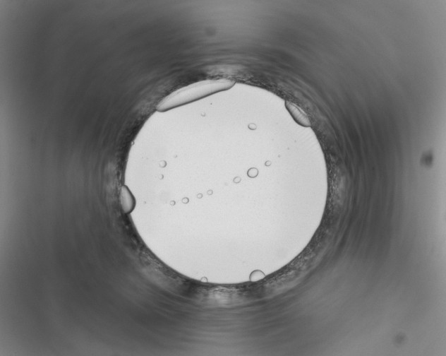 X0000116650420201001251201