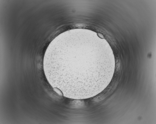 X0000116650421201001251201