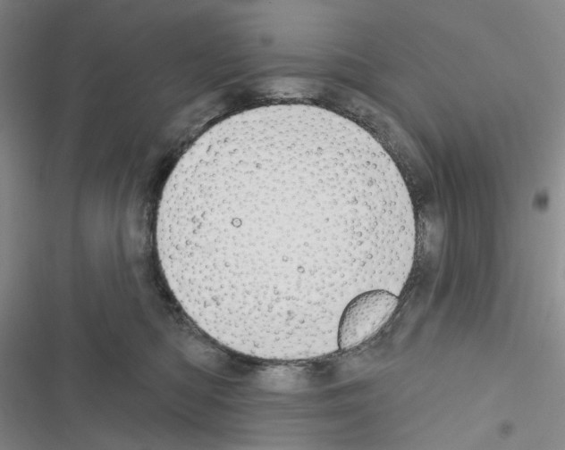 X0000116650422201001251201