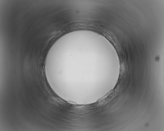 X0000116650423201001251201