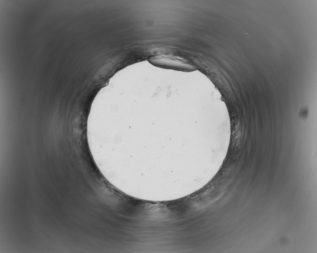 X0000116650424201001251201
