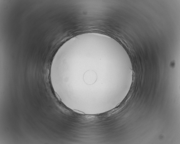 X0000116650427201001251201