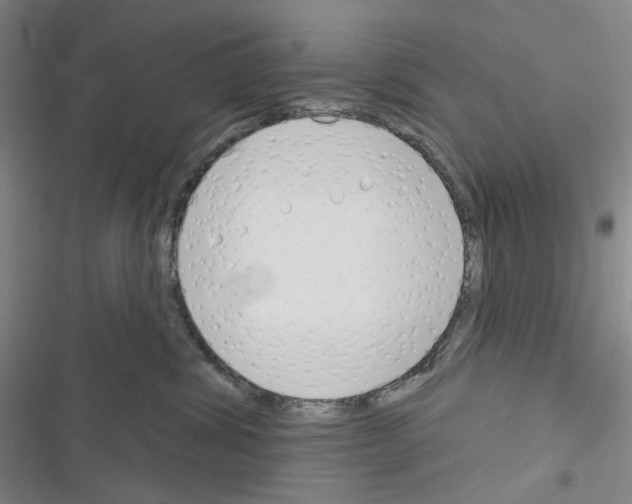 X0000116650428201001251201