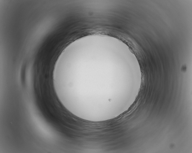 X0000116650429201001251201