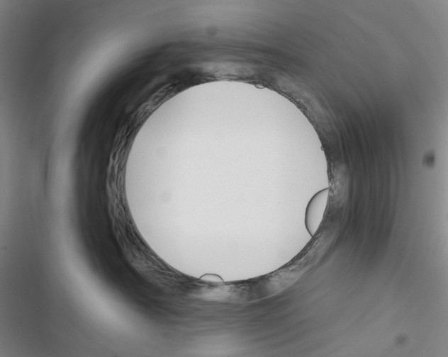 X0000116650430201001251201