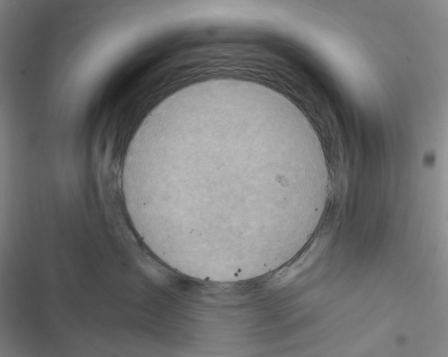 X0000116650431201001251201