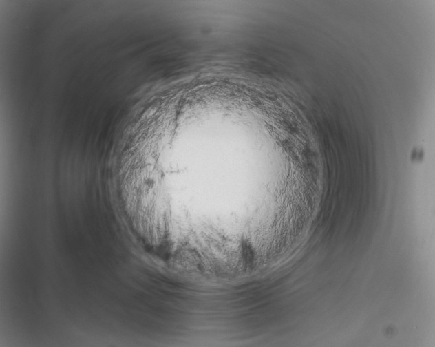 X0000116650432201001251201