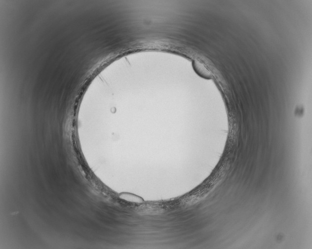 X0000116650434201001251200