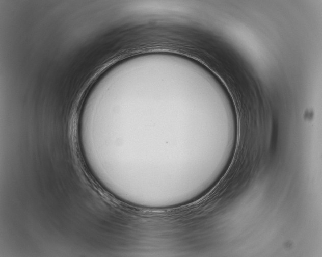 X0000116650435201001251200