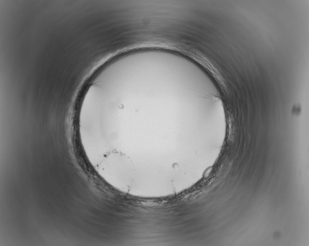 X0000116650436201001251200