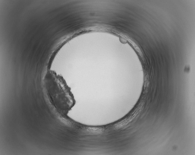 X0000116650437201001251200