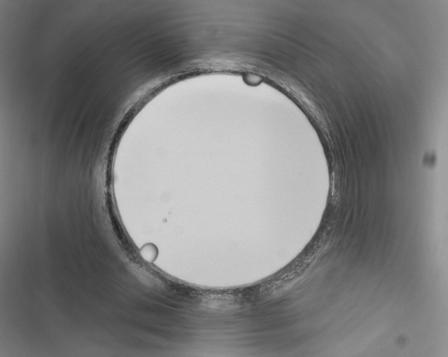 X0000116650438201001251200