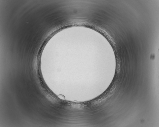 X0000116650439201001251200