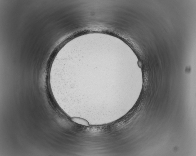 X0000116650440201001251200