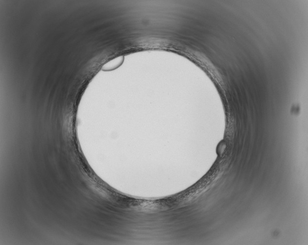 X0000116650441201001251200