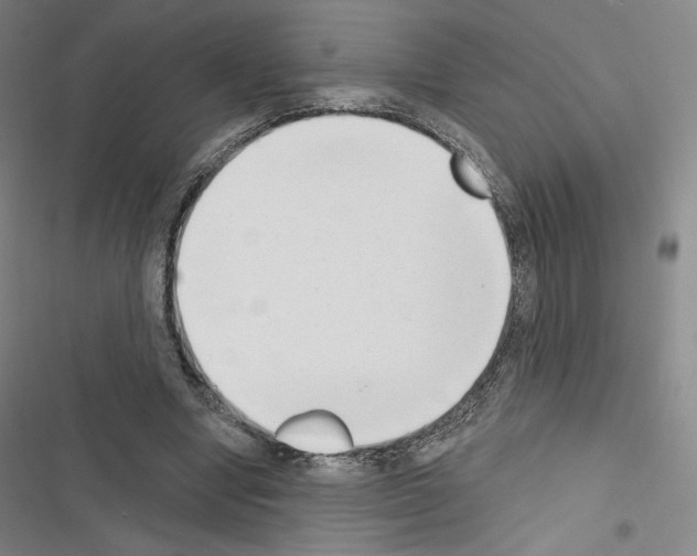 X0000116650442201001251200