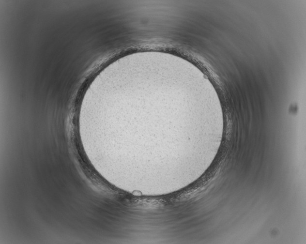 X0000116650443201001251200