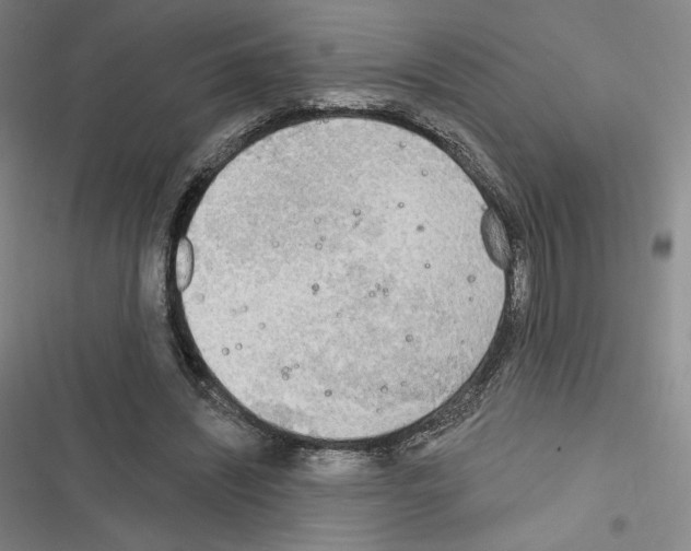 X0000116650444201001251200