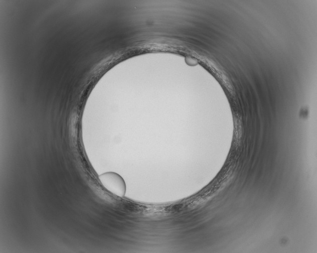 X0000116650445201001251200