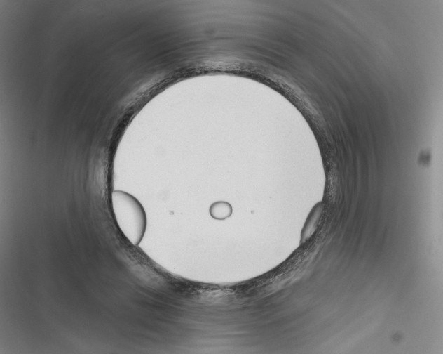 X0000116650446201001251200