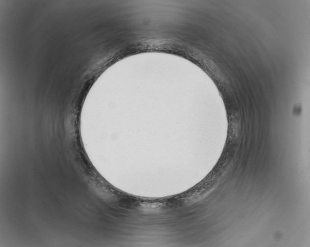X0000116650450201001251200