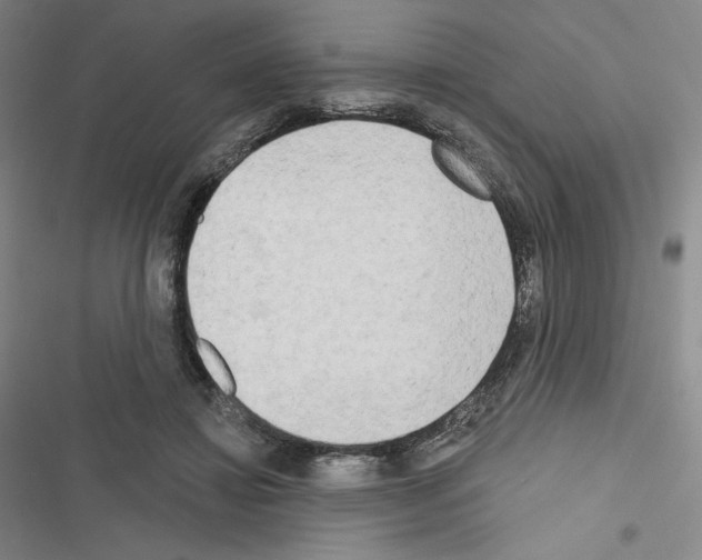 X0000116650452201001251200