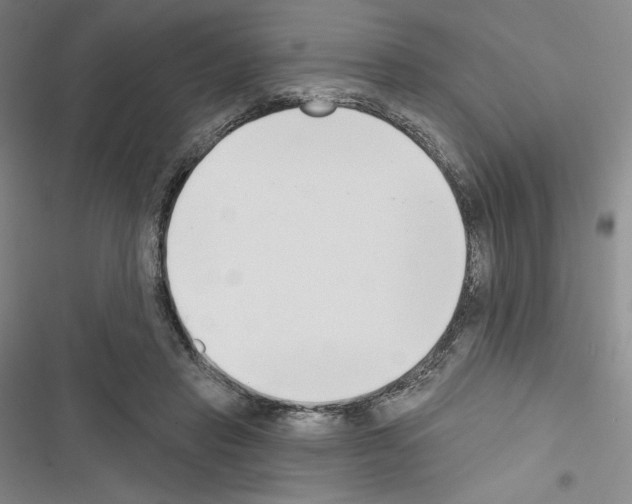 X0000116650453201001251200