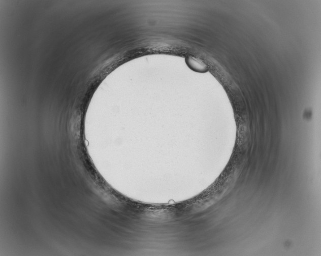 X0000116650454201001251200