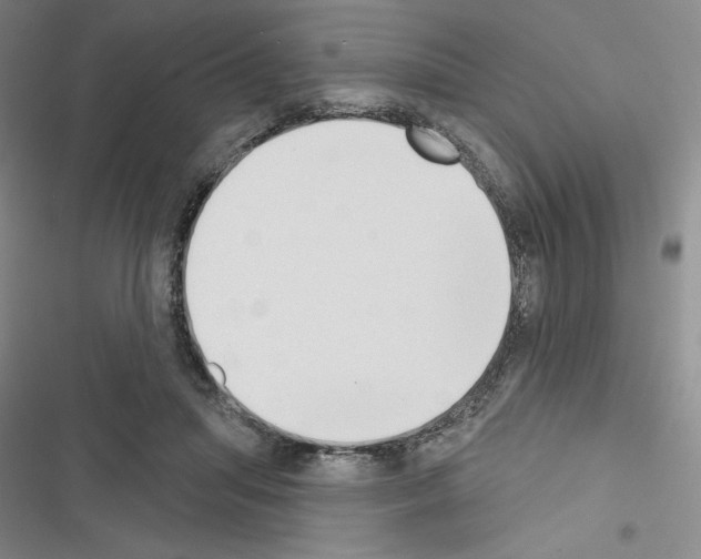 X0000116650455201001251200