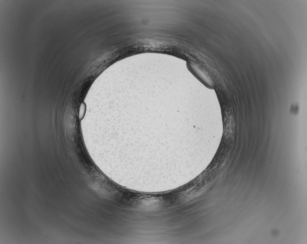 X0000116650456201001251200