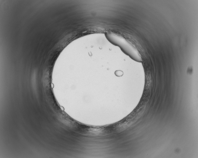 X0000116650457201001251200