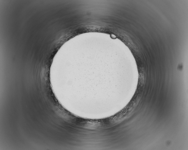 X0000116650458201001251200