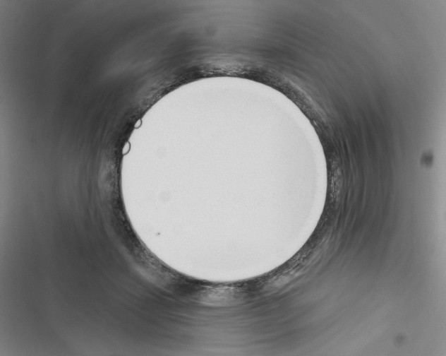 X0000116650459201001251200