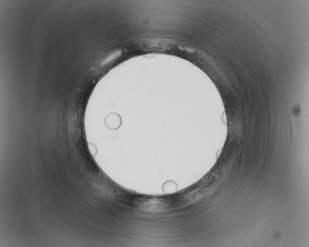 X0000116650460201001251200