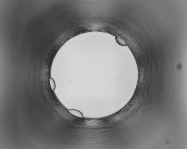 X0000116650461201001251200
