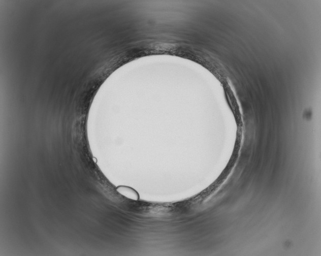 X0000116650462201001251200