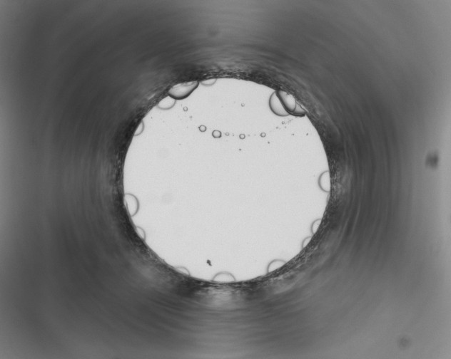 X0000116650464201001251200
