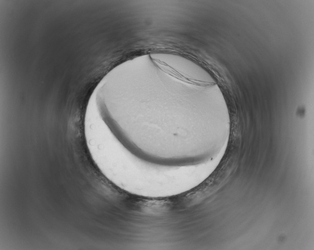 X0000116650465201001251200