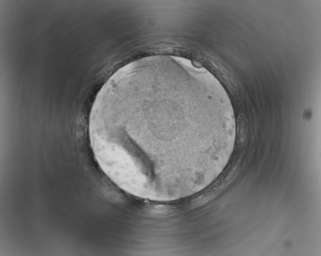 X0000116650467201001251200