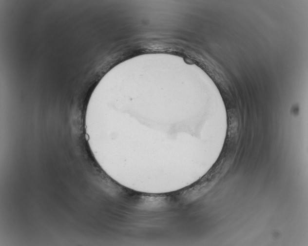 X0000116650469201001251200