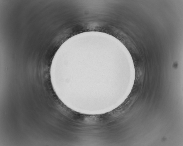 X0000116650470201001251200